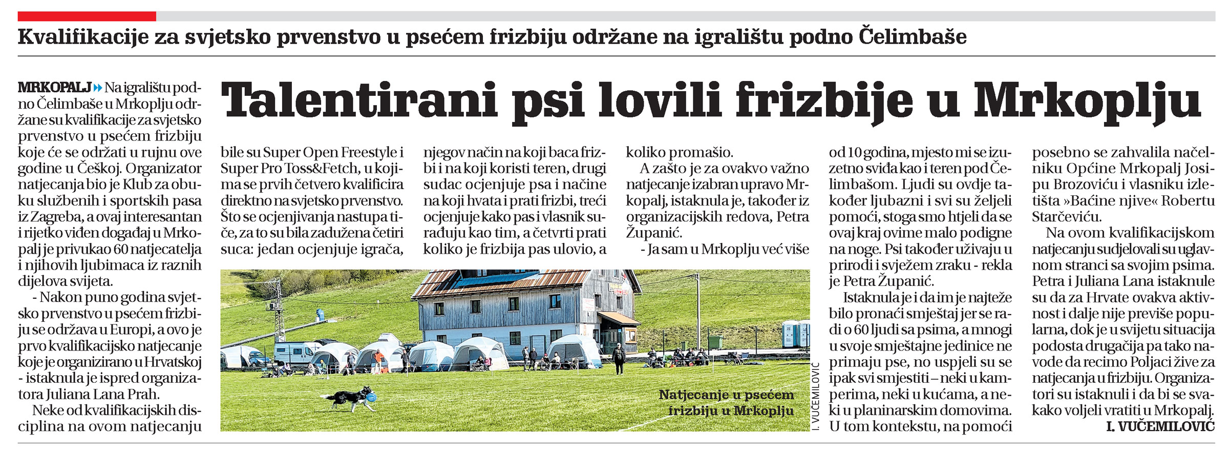 Kvalifikacije za svjetsko prvenstvo u psećem frizbiju održane na igralištu podno Čelimbaše, članak, novi list